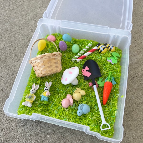 Green Bunny Sensory Kit / Boy Sensory Kit /  Spring Sensory Kit / Rice Sensory Kit / Easter Bunny Sensory / Animal Dump Play / Screen Free