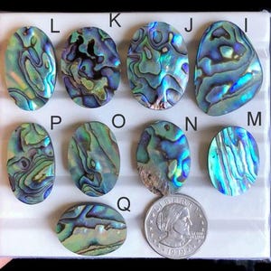 Cabochon en coquillages d'ormeau sélectionnés, pierre précieuse naturelle faite main en coquillage de mer pour la fabrication de bijoux, bijoux pendentifs cabs polis à la main LOT - 1109