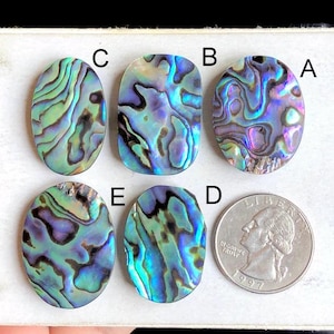 Geselecteerde abalone schelp cabochon, natuurlijke schelp natuurlijke edelsteen voor het maken van sieraden, handgepolijste cabochon hangers sieraden LOT 171