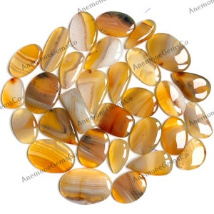 Lote al por mayor de cabujones de ágata amarilla de Botswana, mezcla de formas y tamaños. Cabujón de ágata amarilla de Botswana para joyería y artesanía.