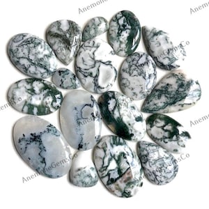Boommosagaat edelsteen cabochon groothandel Lot, mix vormen en maten Boommosagaat cabochon voor sieraden en ambachten.