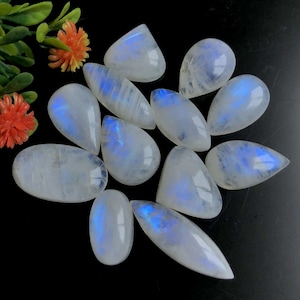 Regenboogmaansteen cabochon, 14-26 mm gemengde vorm en grootte, 12-delig partij voor het maken van sieraden, regenboogmaansteen kristalpalmsteen 57665