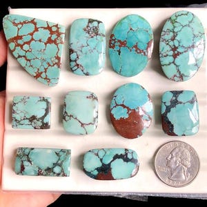 May include: A collection of turquoise gemstones in various shapes, including oval, rectangular, and freeform. The stones display a vibrant blue-green color with brown matrix patterns. A US quarter is included for size reference.