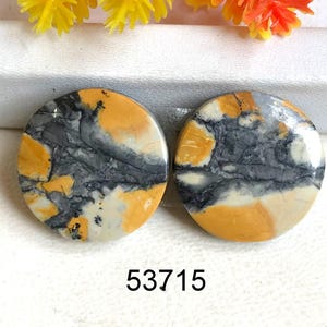 Paire de cabochons de jaspe maligano, jaspe maligano naturel, paire, pierres précieuses, pour la fabrication de pierres précieuses de bijoux, bricolage, mode hivernale,