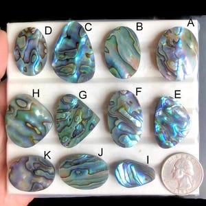 Op de afbeelding: Een verzameling iriserende abalone schelp cabochons in verschillende vormen, waaronder ovaal, druppelvormig en onregelmatig. De schelpen vertonen een reeks kleuren, zoals blauw, groen en paars, met een glinsterend, parelmoerachtig effect. Een munt is inbegrepen ter groottevergelijking.
