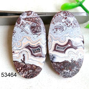 Paire de cabochons d'agate folle en dentelle de qualité supérieure, paire d'agates folles en dentelle naturelle, pierre précieuse pour la fabrication de bijoux bricolage, pour boucles d'oreilles.