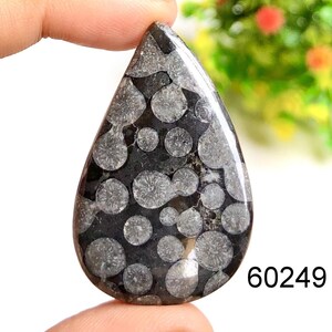 Snake fossiele cabochon, natuurlijke halfedelsteen voor sieraden maken, Snake Fossil Power Crystal Jewelry gebruik voor ambachtelijke sieraden