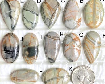 May include: A collection of twelve polished gemstone cabochons in various shapes, including oval, teardrop, and irregular forms. The stones display a mix of colors, such as beige, gray, and brown, with unique veining patterns. A quarter coin is included for size reference.