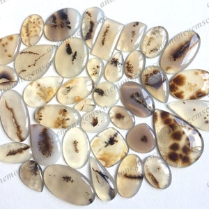Mooie dendriet-agaat cabochon groothandel, mix vormen en maten dendriet cabochon voor het maken van sieraden