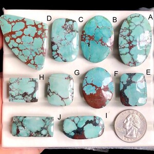 May include: A collection of ten turquoise gemstones with brown matrix patterns, each cut into different shapes. The stones vary in size and include oval, rectangular, and freeform shapes. A US quarter is included for size reference.