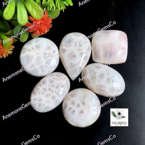 Thomsonit Cabochon ca.18-23 mm, Mix-Form 5 Stück Lot natürliche Natrolit Cabochons für Schmuckherstellung, Ringgröße Cabs 62418