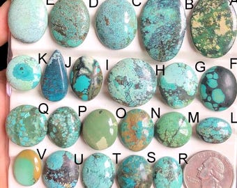 Op de afbeelding: Assortiment van 26 turquoise cabochons in verschillende vormen en maten, variërend in kleur van lichtblauw tot donkergroen, met sommige die bruine matrix vertonen. Een Amerikaanse kwartje is opgenomen voor schaal.