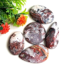 Verrückte Spitze Achat Cabochon 5 Stück Lot, 19-26mm Ungefähre Mix Formen Same wie Bild, Crazy Lace Achat Verwendung für Armband 61578