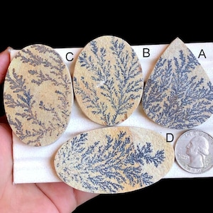Cabujón de fósil de dendrita seleccionado, piedra preciosa fósil de dendrita natural hecha a mano para joyería, colgantes envueltos en alambre, joyería, lote 18