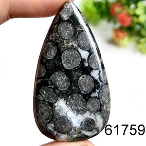 Cabochon fossile de serpent noir, pierre semi-précieuse naturelle pour la fabrication de bijoux, bijoux en cristal de puissance fossile de serpent, pierre de naissance
