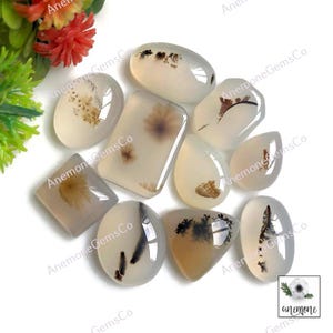 Dendrietagaat cabochons 12-18 mm, gemengde vorm, 10 stuks zoals op de foto, dendrietagaat perfect voor ringen, sieraden cadeau voor haar 62521