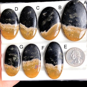 Selected Palm Root Agate Cabochons, Natural Semi Precious Gemstone For Jewelry Making, Natural Agate Wire Wrapped Pendants Jewelry LOT-457
