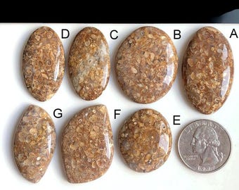 Selected Turtella Jasper Cabochons, Natural Semi Precious Gemstone for Jewelry, Jasper Hand Polished Loose Gemstone LOT- 145