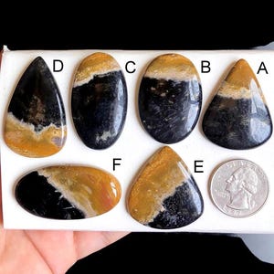 Cabochons en agate de racine de palmier sélectionnée, pierre semi-précieuse naturelle pour la fabrication de bijoux, pendentifs en fil d'agate naturelle, bijoux LOT-217