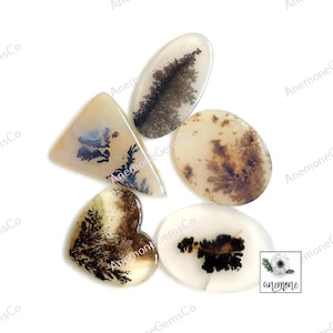 Malerische Dendrit Achat Cabochons, 14-18 mm Ungefähre Mix-Form 5 Stück Lot wie im Bild verwenden für Ringe machen, Dendrit Achat Einzigartige Schmuck 63336