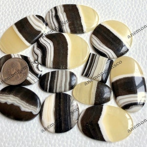 zebra calciet cabochon groothandel veel, mix vormen en maten zebra calciet cabochon voor het maken van sieraden