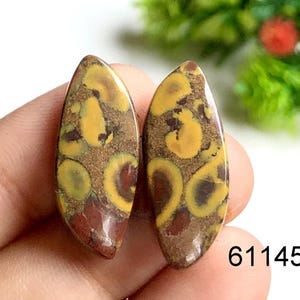 Coppia di orecchini in diaspro alla frutta Cabochon, pietre preziose semipreziose naturali da utilizzare per gioielli con orecchini, coppie per realizzare orecchini