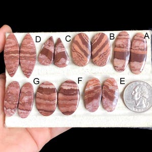 Paire de boucles d'oreilles sélectionnées en jaspe zèbre, jaspe chocolat pour boucles d'oreilles, paire assortie en jaspe, paire de pierres précieuses lisses de créateur pour bijoux LOT - 97