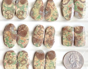 May include: Assortment of polished gemstones in various shapes, including oval, teardrop, and rectangular. The stones feature a mix of brown, green, and cream colors with unique patterns. A US quarter is included for size reference. These stones are ideal for jewelry making.