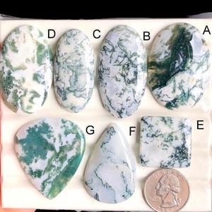 Cabochon en agate moos arbre sélectionné, pierre semi-précieuse naturelle pour la fabrication de bijoux, pendentifs en fil d'agate mousse, cadeau pour elle LOT-354