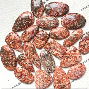 Topkwaliteit luipaard jaspis cabochon groothandel Lot, mix vormen en maten luipaard jaspis cabochon voor sieraden en ambachten