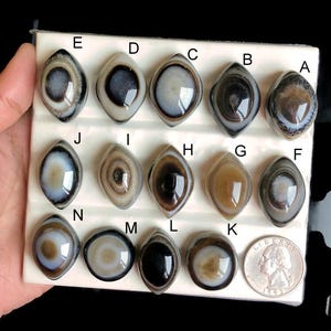 May include: A collection of oval-shaped agate stones with unique patterns and colors, including brown, white, and black. The stones are arranged on a white surface, with a US quarter for size comparison. The agate stones are labeled A through N.