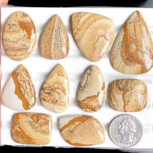 Cabochons en jaspe pour image sélectionnés, pierres précieuses en vrac en jaspe naturel pour la fabrication de bijoux, pendentifs en cristal de puissance Jaspe LOT-372