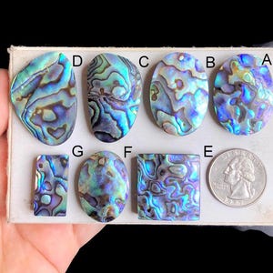Geselecteerde abalone schelp cabochon, natuurlijke schelp handgemaakte edelsteen voor het maken van sieraden, handgepolijste cabochon hangers sieraden LOT 170