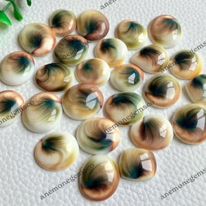 Australisk ögonsnäcka cabochon lot, naturlig Shiva ögonsnäcka ädelsten lot för smycken och gör-det-själv-hantverk,