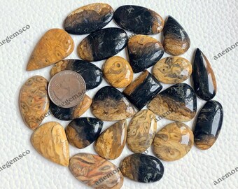 Palm Wurzel Achat Cabochon Großhandel Lot, Mix Formen und Größe Palm Wurzel Achat für DIY Schmuckherstellung, Anhänger, Bastelbedarf