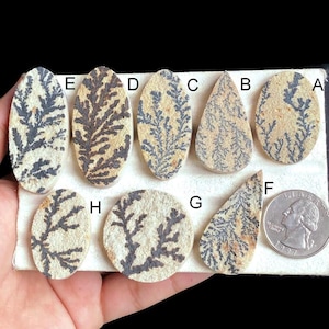 Ausgewählte Dendrit Fossil Cabochon, Natürliche Dendrit Fossil Natürlicher Edelstein für die Schmuckherstellung, Draht Wrapped Schmuck LOT-86
