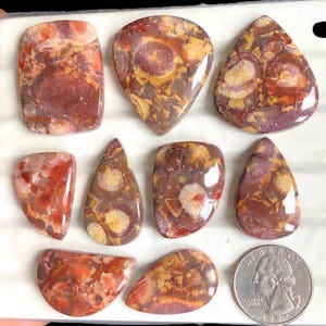 Cabochon en jaspe oeil d'oiseau sélectionné, pierre semi-précieuse naturelle pour la fabrication de bijoux, bijoux en cristal de guérison de jaspe LOT-383