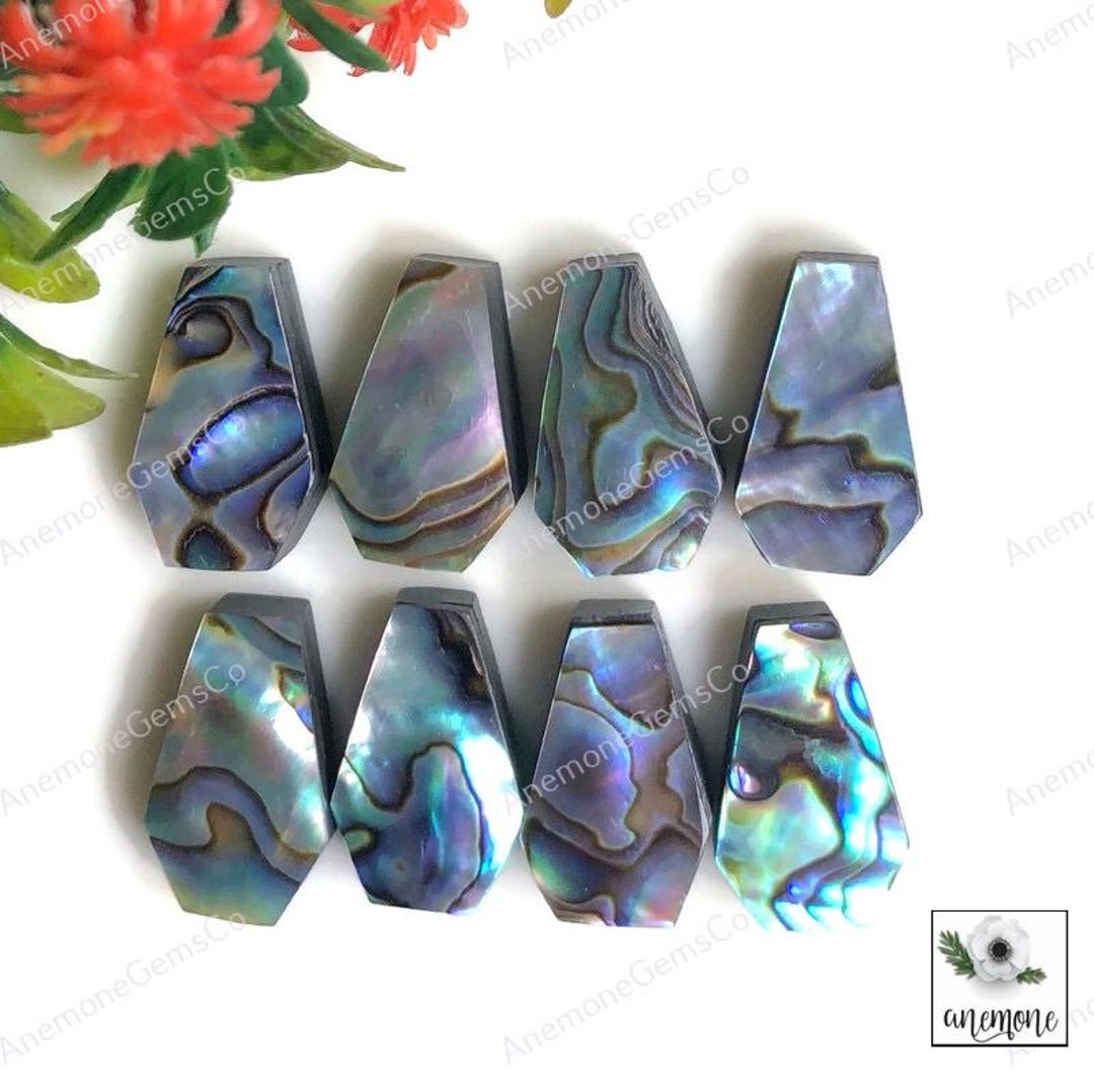 Abalone Shell Cabochons 10x16mm Coffin Shape Gemstone, Calibrated ...