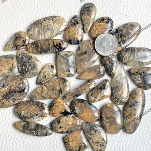 Tijger dendrietagaat cabochon groothandel Lot, mix vormen en maten Tijger dendrietagaat cabochon voor het maken van sieraden