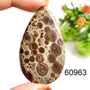 Cabochon en jaspe astéroïde, pierre semi-précieuse naturelle pour la fabrication de bijoux, utilisation de pierres précieuses de guérison pour l'emballage de bijoux pendentifs