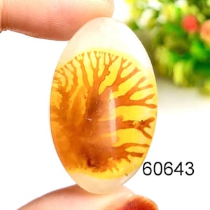 Cabochon pittoresque de pierres précieuses doublet en agate, pierre semi-précieuse naturelle pour la fabrication de bijoux, utilisation pour des pendentifs de créateurs
