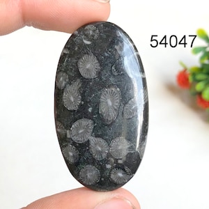 Natuurlijke zwarte fossiele koraal edelsteen, designer zwarte koraal cabochon, groothandel bulk zwarte fossiele koraalkristallen voor het maken van sieraden