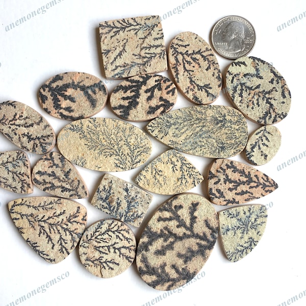 Amazing Quality Dendrite Fossil Cabochon Lot , Natural Dendrite Fossil Gemstone Lots For Jewellery & DIY Craft making