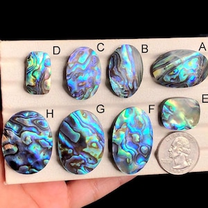 Ausgewählte Abalone Shell Cabochon, Natürliche Sea Shell Handmade Edelstein für die Schmuckherstellung, handpoliert Cabs Anhänger Schmuck LOT 42