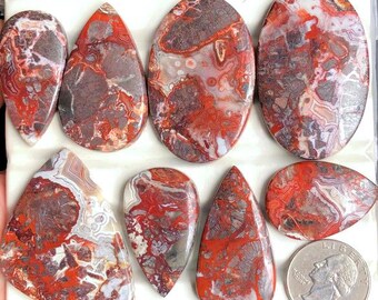 May include: A collection of polished gemstones in various shapes, including oval, teardrop, and triangular forms. The stones display a striking pattern of red, brown, and white swirls and veins. A quarter coin is included for size reference. The gemstones are displayed on a white surface.