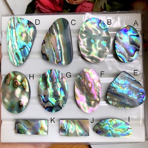 May include: A collection of eleven polished abalone shell cabochons arranged on a white plastic tray. Each piece displays iridescent swirls of blue, green, purple, and pink. The items are labeled with letters A through K in black ink.