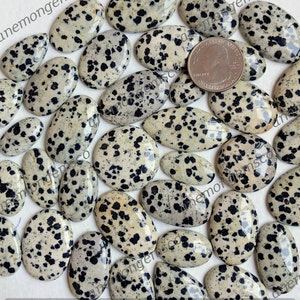Topkwaliteit Dalmatische Jasper Cabochon Groothandel Lot, Mix vormen en maten Dalmatische Jasper Cabochon voor sieraden en ambachten maken