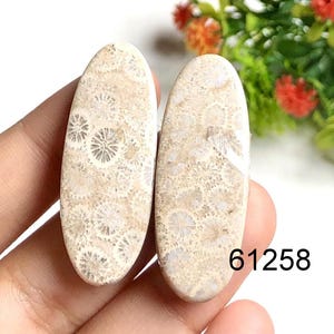 Paire de cabochons de boucles d'oreilles en corail fossile, boucles d'oreilles en pierres semi-précieuses naturelles, bijoux Boucles d'oreilles de créateur faites main, cadeau pour elle