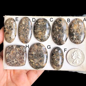 Cabochons turquoise en jaspe sélectionnés, pierre semi-précieuse naturelle pour bijoux, pierre précieuse en vrac en cristal de puissance pour la fabrication de bijoux, LOT - 165