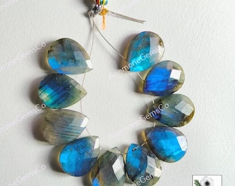 Labradorite Faceted Pear Shape Briolette 8x12mm, 10pcs Strand Labradorite Briolette Side Drill Beads For Jewelry Making